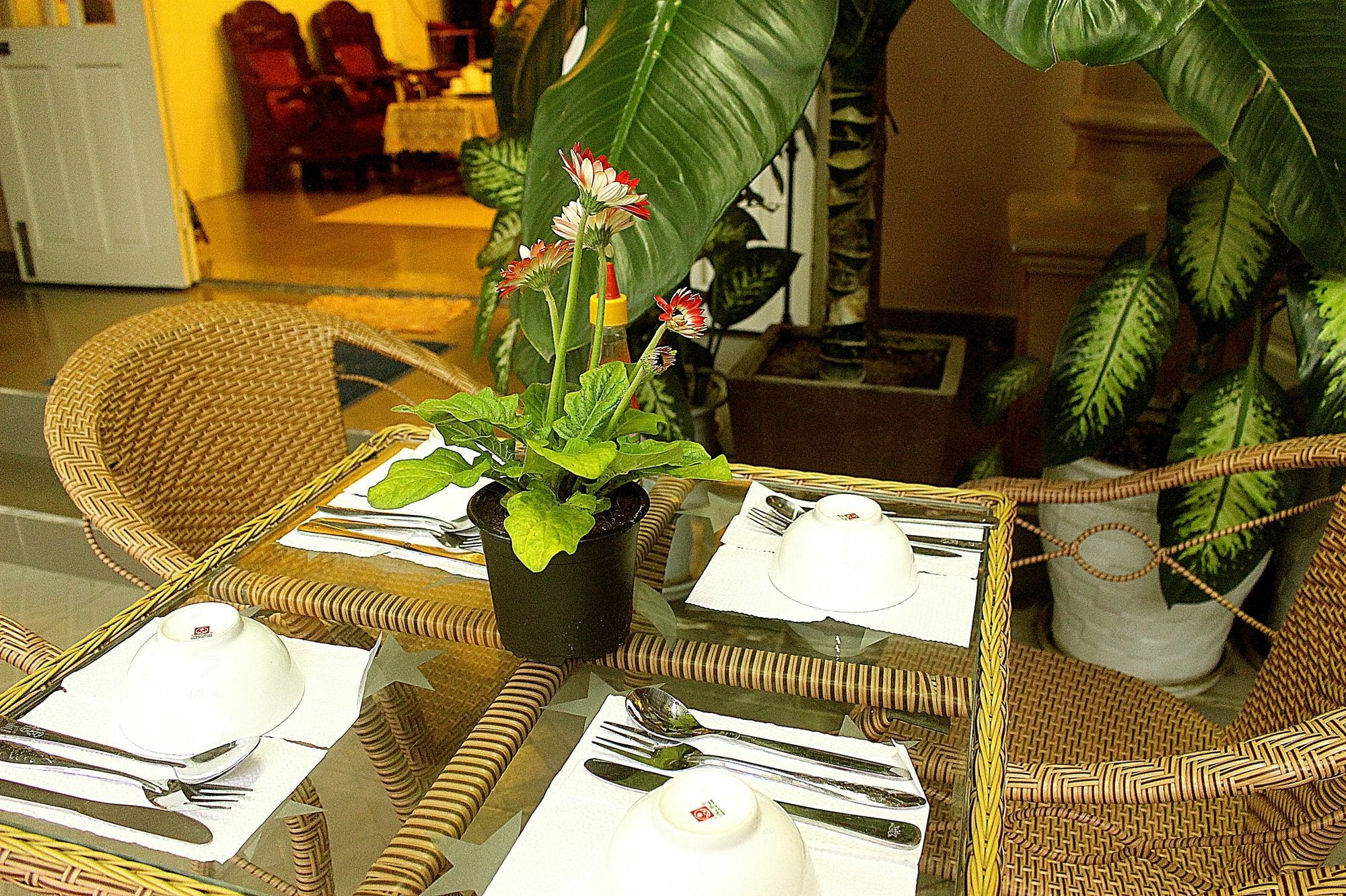 Quy Long Homestay Hoi An Bagian luar foto